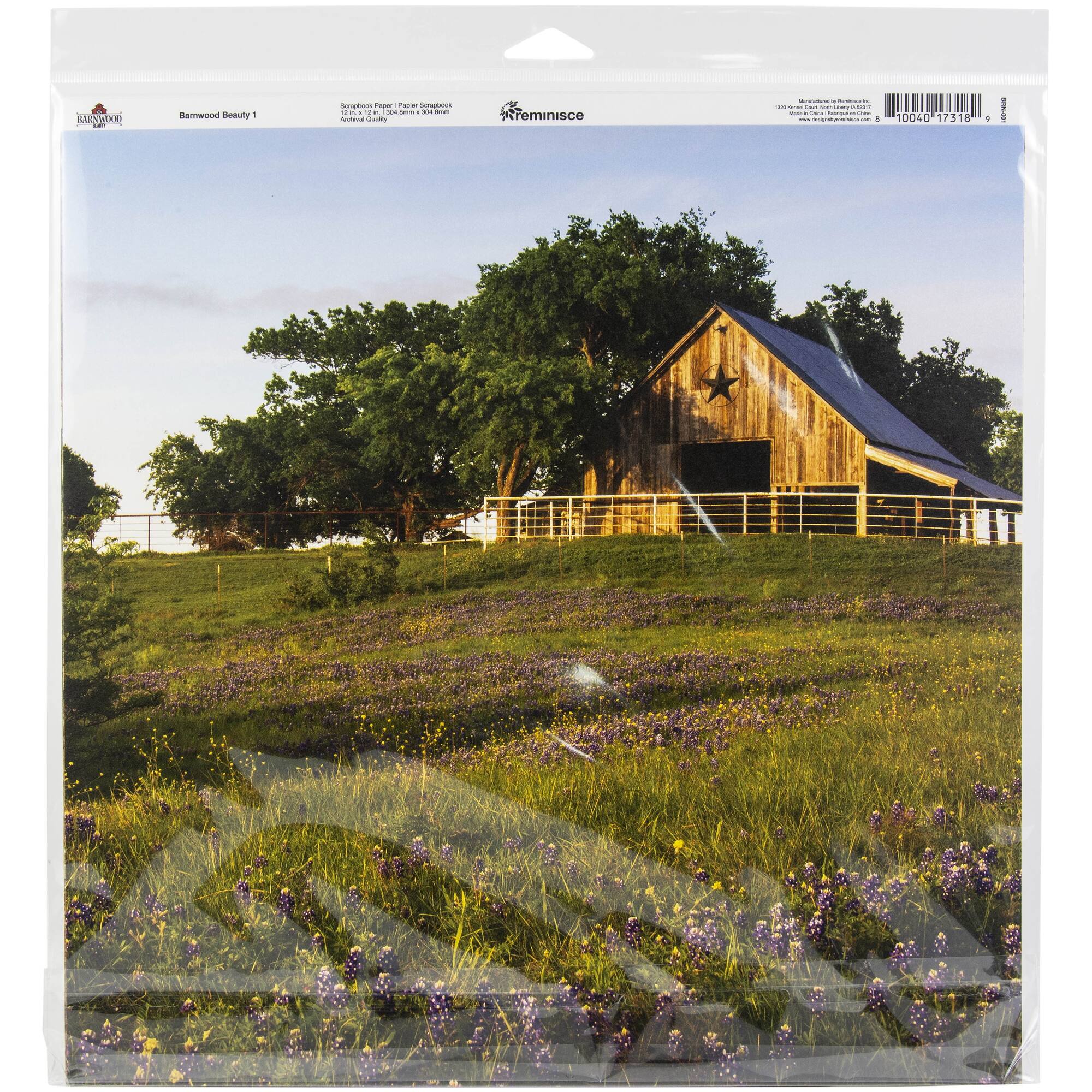 Reminisce Collection Kit 12"X12"-Barnwood Beauty